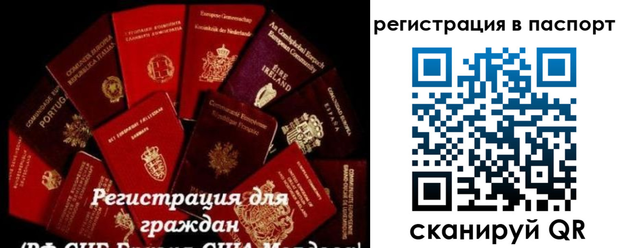миграционный учет в Коле
