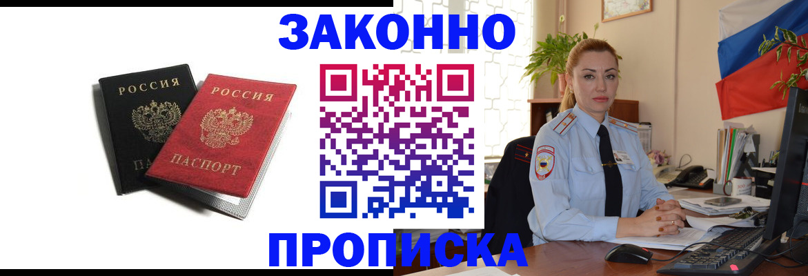 где прописаться в Коле